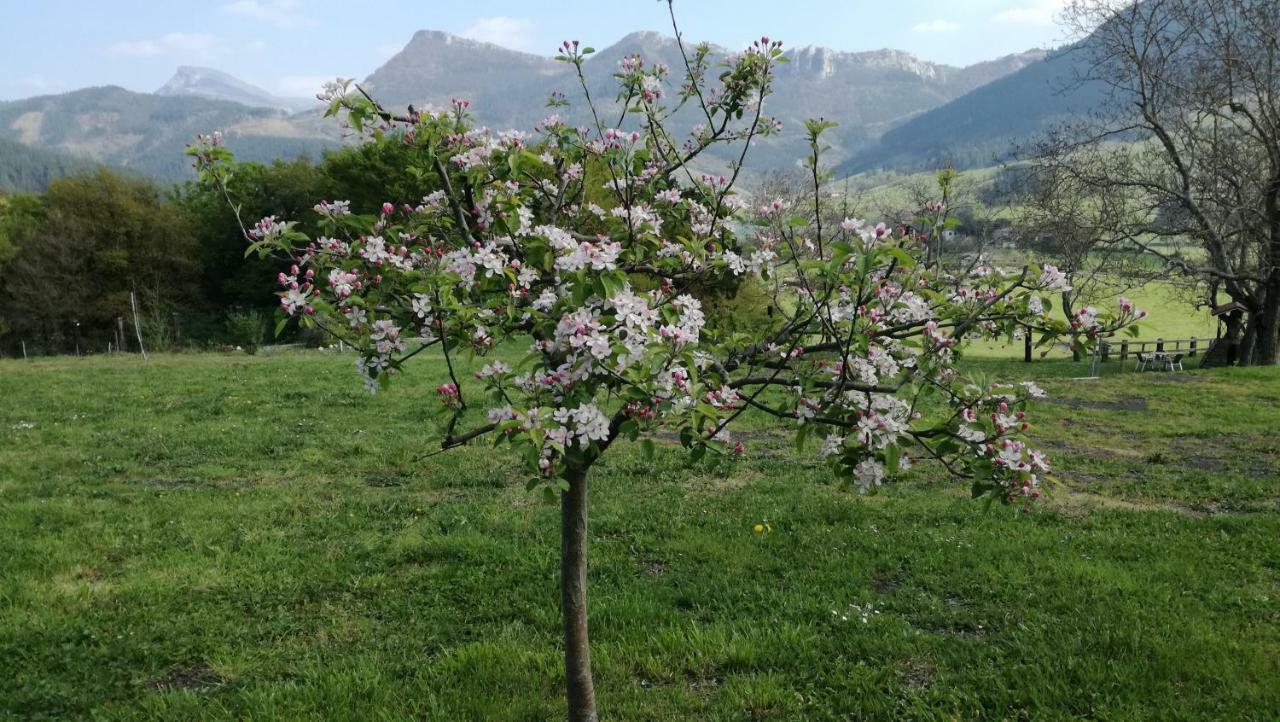 Casa Rural Urkulu Landetxea Arechavaleta Exterior foto